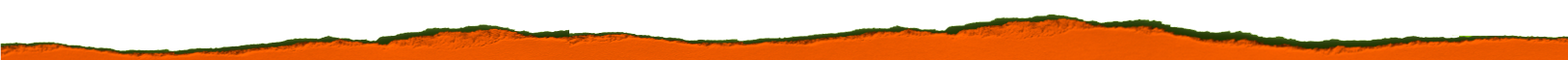 Barapasta